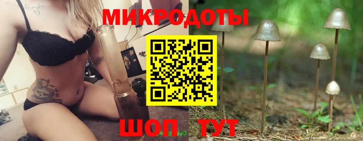 Галлюциногенные грибы Magic Shrooms  как найти наркотики  Галлюциногенные грибы мухоморы  Камышин  Вход с VPN 